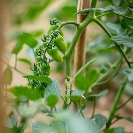 Al Convento Gasthof *