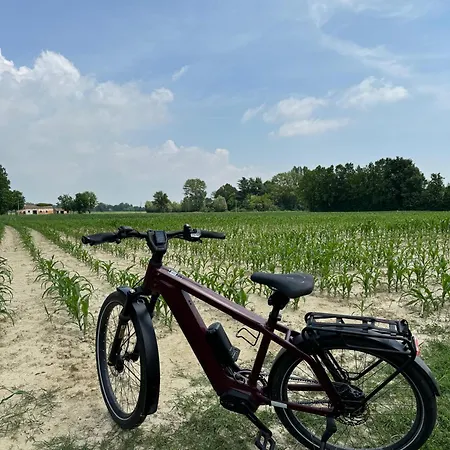 אורחן Al Convento *